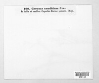 Image Associated With the Occurence